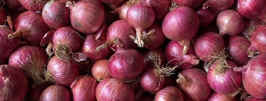 Onion